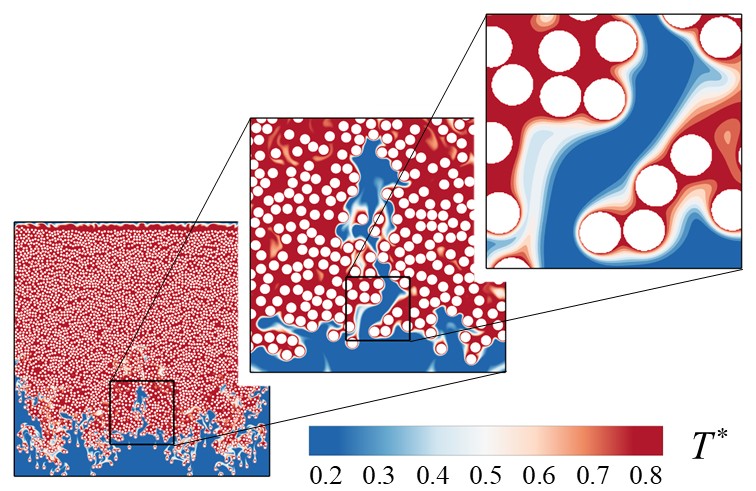 Graphical Abstract